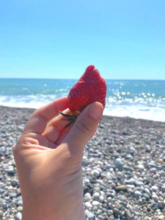 Бунгало Мини Отель, Пицунда , Лдзаа Esterno foto