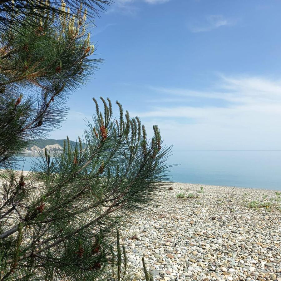 Бунгало Мини Отель, Пицунда , Лдзаа Esterno foto